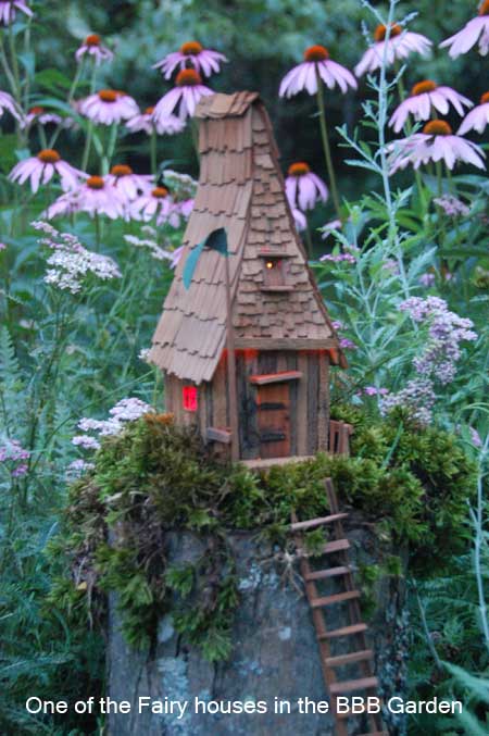 Fairy House Image