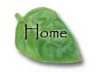 home button